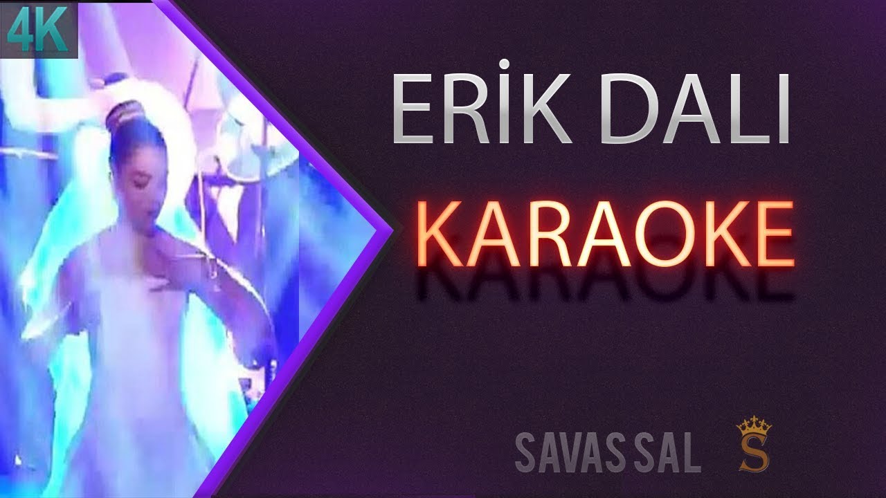Erik Dali Karaoke k