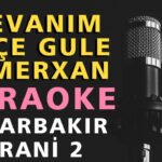 DİYARBAKIR GRANİ 2 (MEVANIM, NEÇE GULE, ESMERXAN) Kürtçe Karaoke Altyapı Türküler - La b (Sol #)