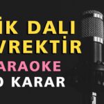 ERİK DALI GEVREKTİR Karaoke Altyapı Türküler - Do