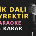 ERİK DALI GEVREKTİR Karaoke Altyapı Türküler - Re