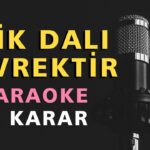 ERİK DALI GEVREKTİR Karaoke Altyapı Türküler - Si