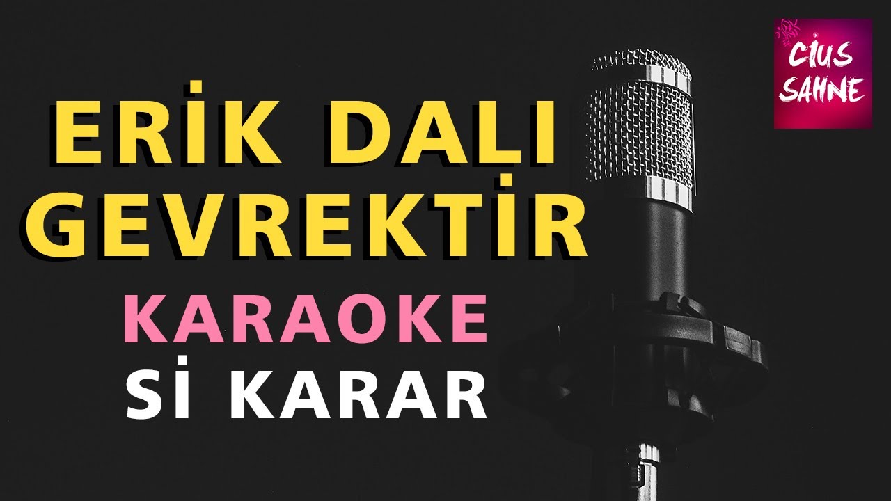 ERİK DALI GEVREKTİR Karaoke Altyapı Türküler - Si
