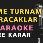GİTME TURNAM VURACAKLAR Karaoke Altyapı Türküler - Re